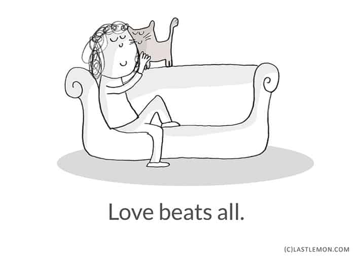 Life-Lessons-from-Cats-love