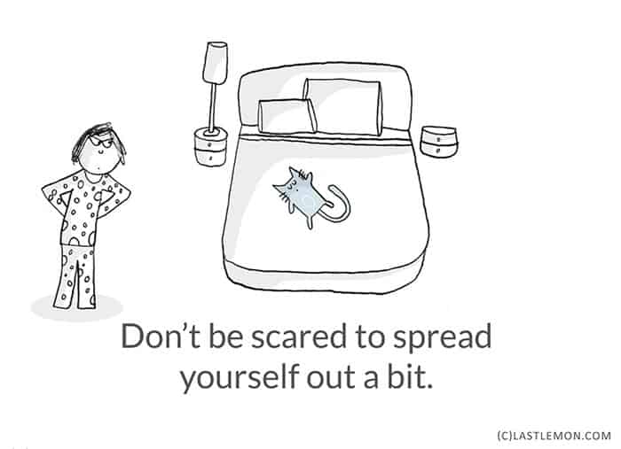 Life-Lessons-from-Cats-spread