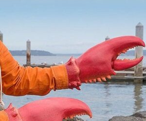 Lobster Claws costume red