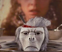 Monkey Brains Bowl