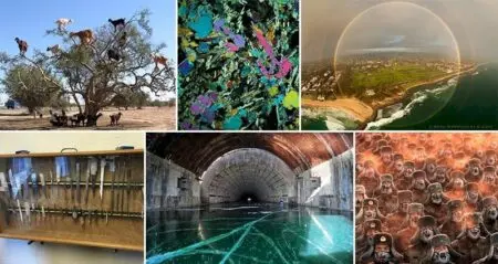 Random Interesting Images