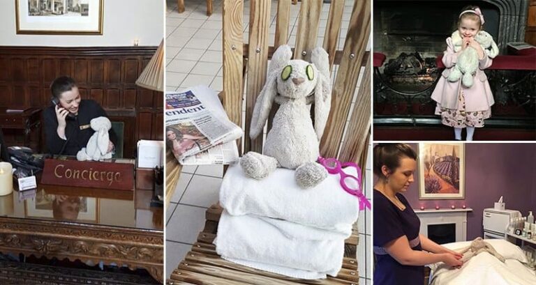 Stuffed Bunny Hotel Five-Star Treatment