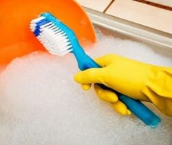 Toothbrush Dish Scrubber