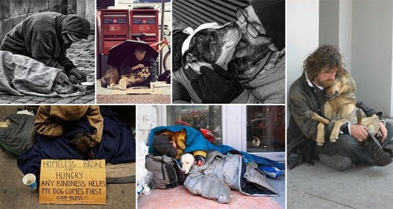 Unconditional Love Homeless Dogs Owner