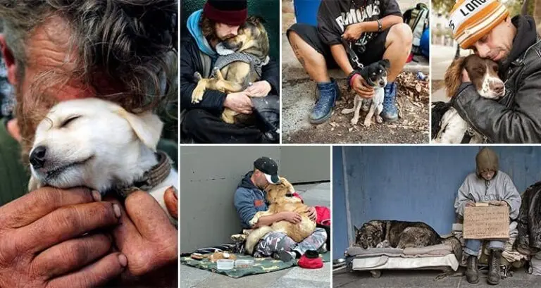 14 Photos Of Homeless Dogs And Owners Showing Unconditional Love – Part 1 Unconditional Love Homeless Dogs Owners