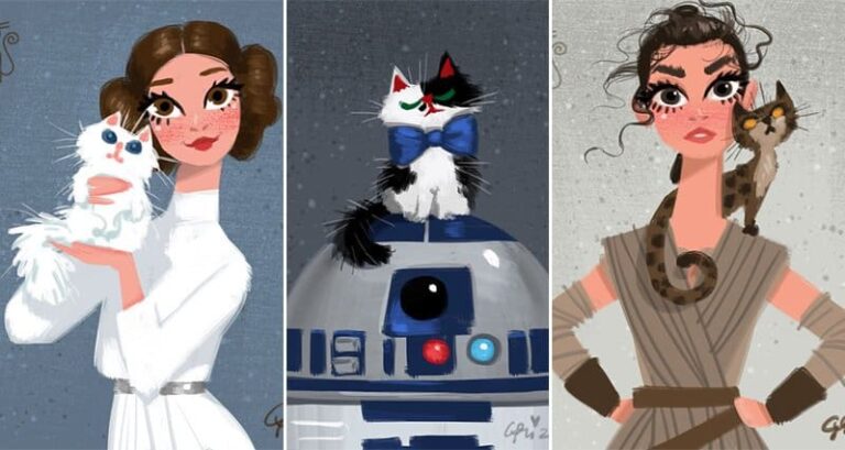 Walt Disney Star Wars Characters Cats