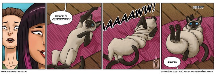 a-selection-of-cat-themed-strips-from-our-comic-4am-flexible