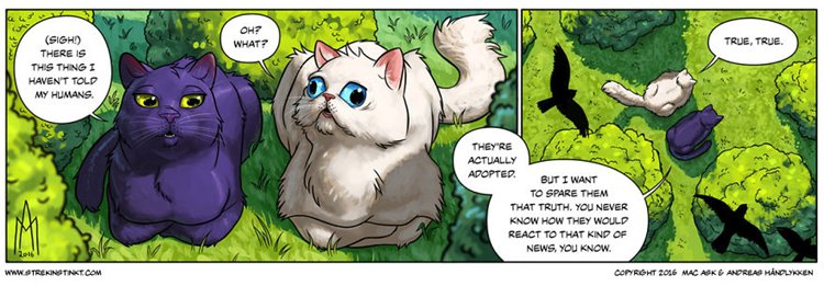 a-selection-of-cat-themed-strips-from-our-comic-4am-humans