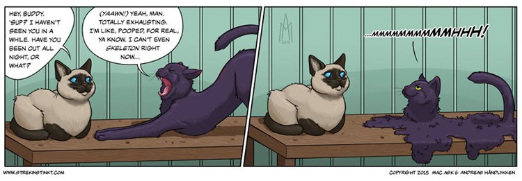 a-selection-of-cat-themed-strips-from-our-comic-4am-melt