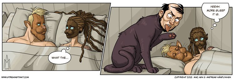 a-selection-of-cat-themed-strips-from-our-comic-4am-sleep