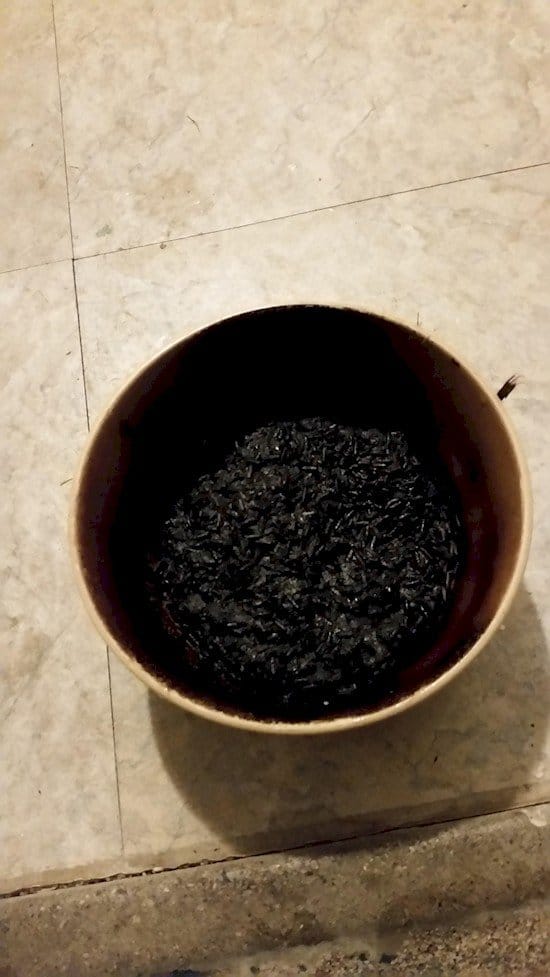 badly burned pot