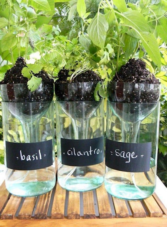 bottle planters