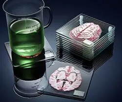 brain specimen coasters