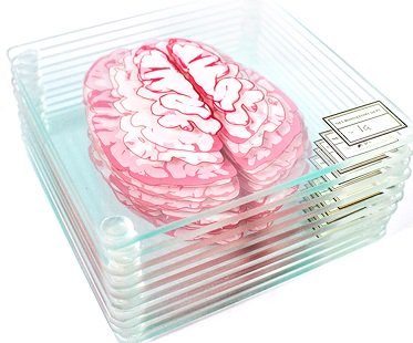 brain specimen coasters glass set