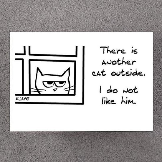cards-for-cat-lovers-outside