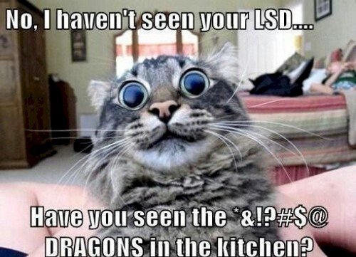 cat lsd