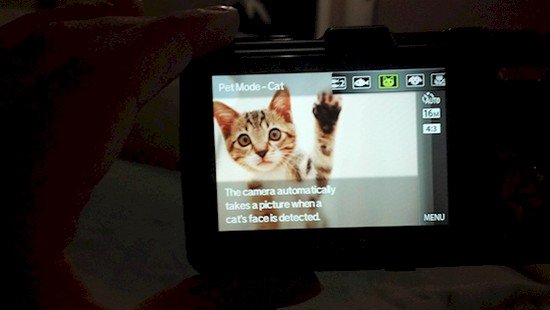 cat mode camera