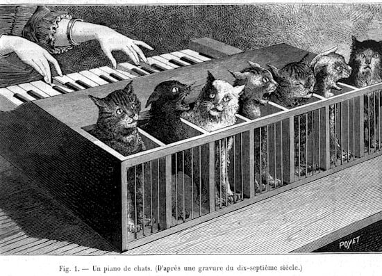 cat piano