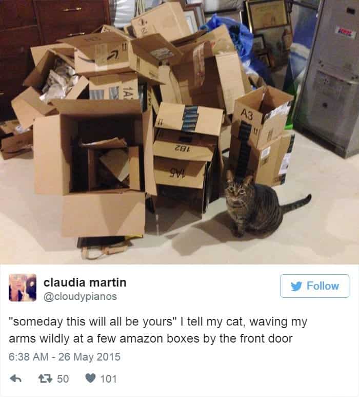 cats-boxes