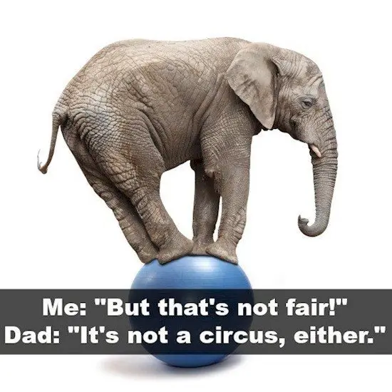 circus joke