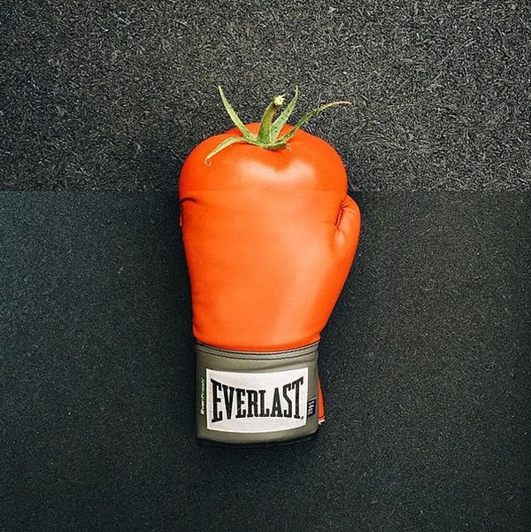 combo-photos-Tomato-Boxing-Glove