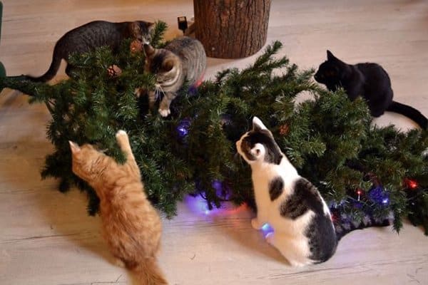 decorating-cats-destroying-trees-christmas-killed