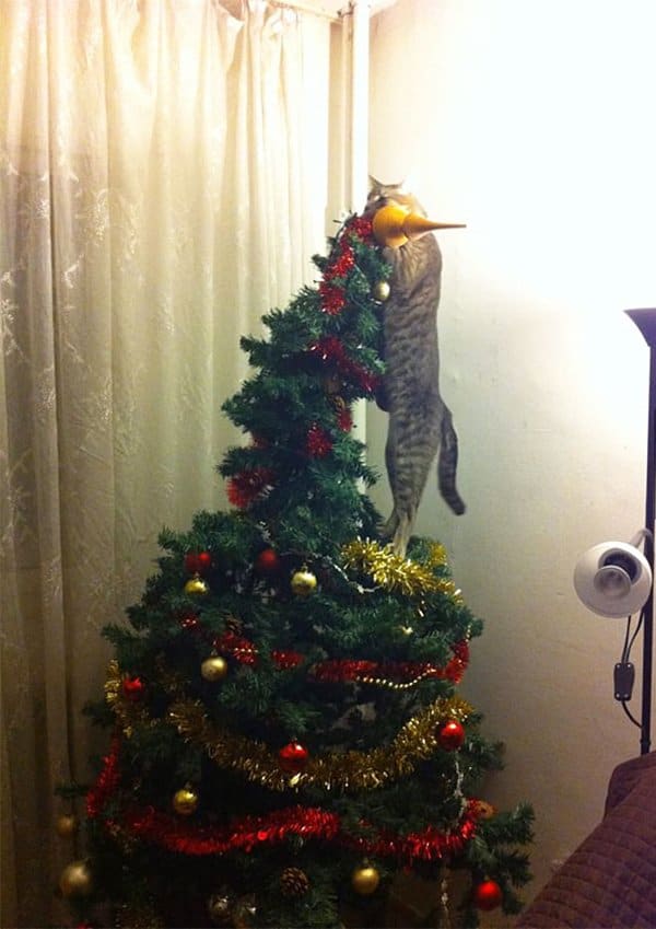 decorating-cats-destroying-trees-christmas-reach
