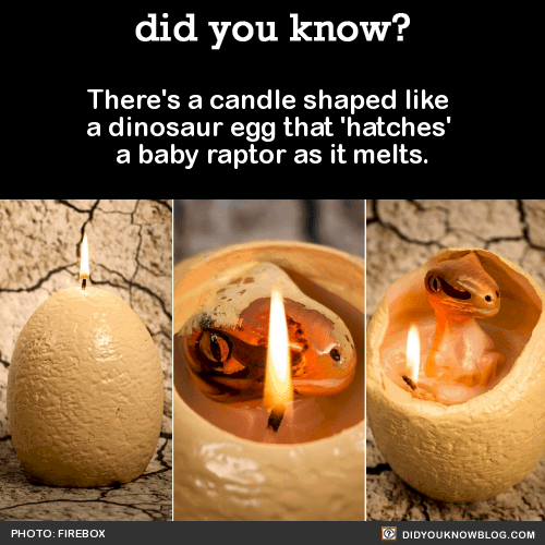 did-you-know-candle