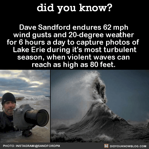 did-you-know-dave-sandford