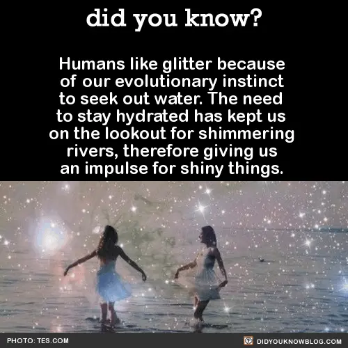 did-you-know-glitter