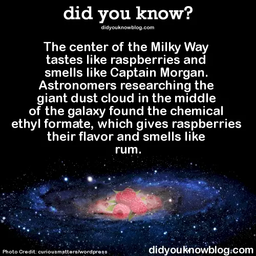 did-you-know-milky-way