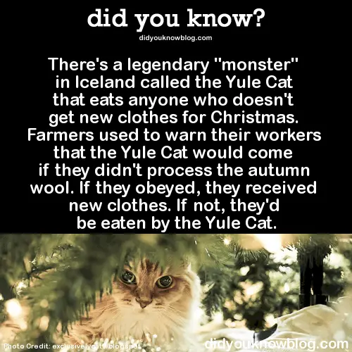 did-you-know-yule