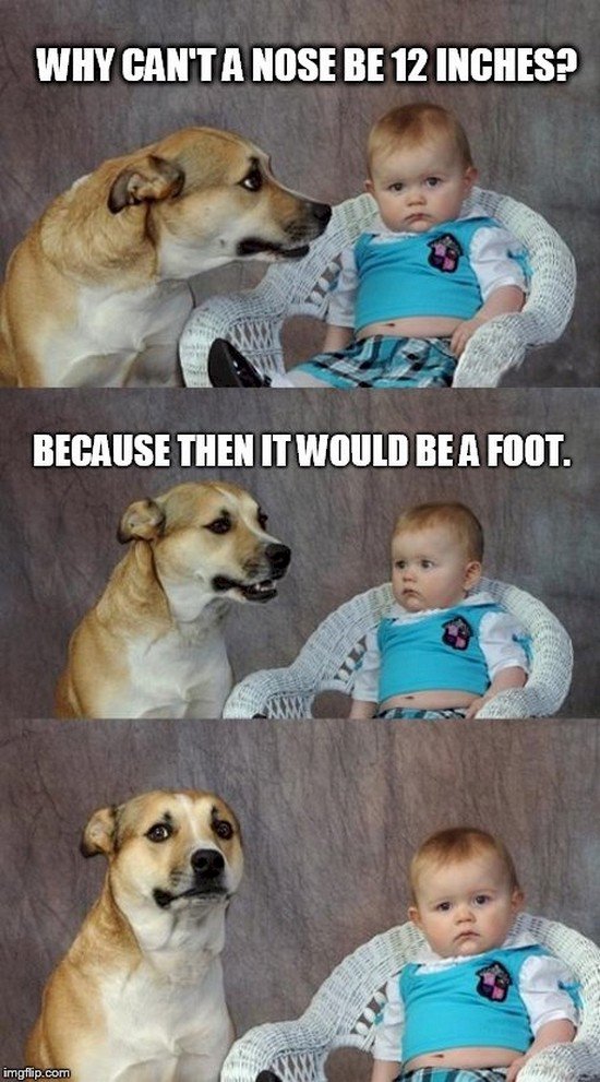 dog baby joke