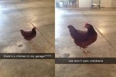 14 Times People Were Drunk And Hilarious On 'Snapchat'