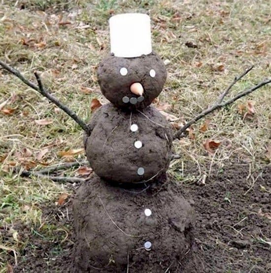 earth snowman