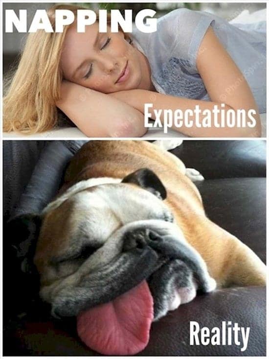 expectations-v-reality-nap