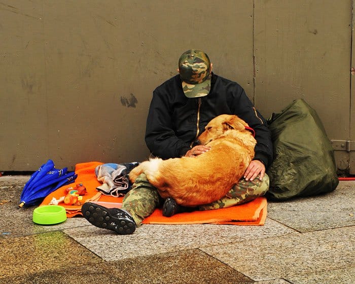 homeless-dogs-unconditional-love-nap