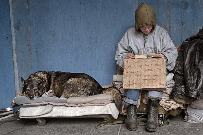homeless-dogs-unconditional-love-nyc