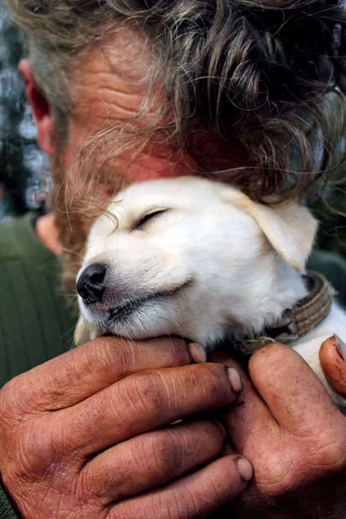 homeless-dogs-unconditional-love-puppy