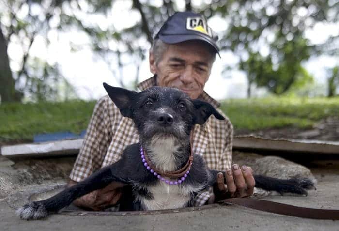 homeless-dogs-unconditional-love-sewer