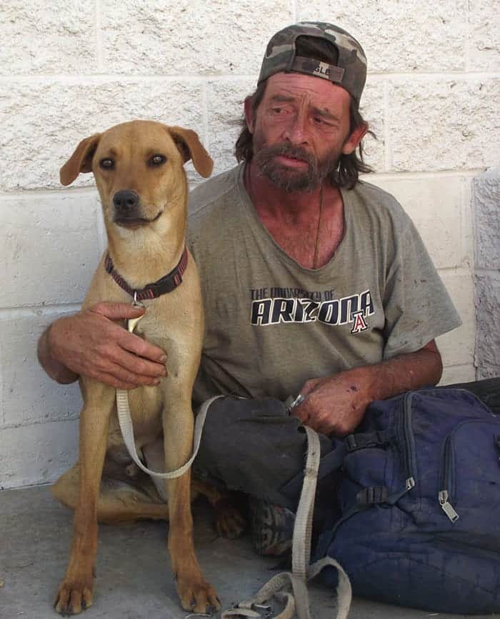 homeless-dogs-unconditional-love-sit