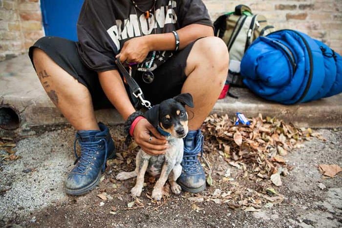 homeless-dogs-unconditional-love-small