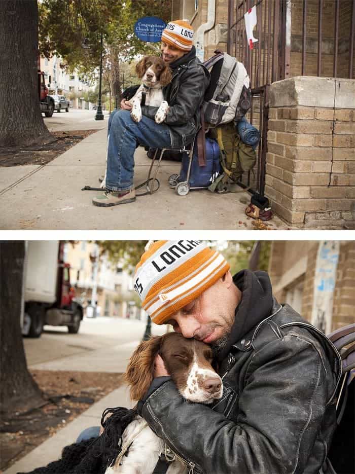 homeless-dogs-unconditional-love-spaniel