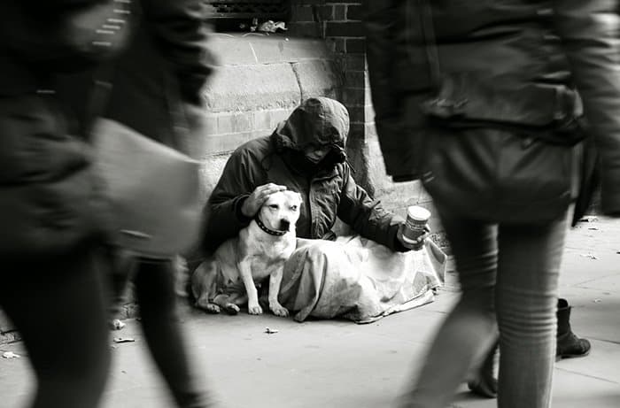 homeless-dogs-unconditional-love-stroke