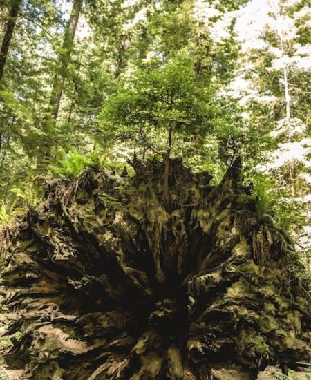 15 Of The Most Random But Interesting Images You've Ever Seen