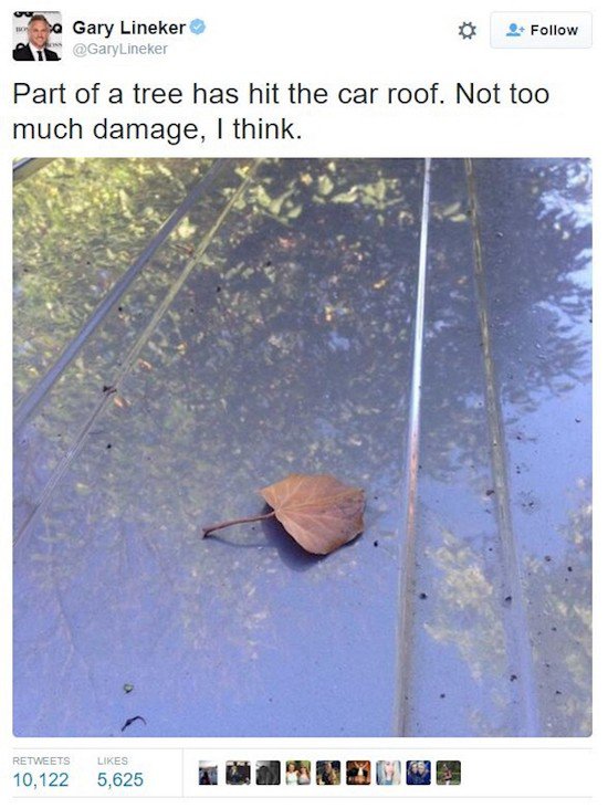 leaf on car