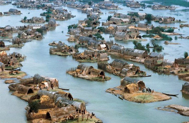 mesopotamian marshes iraq