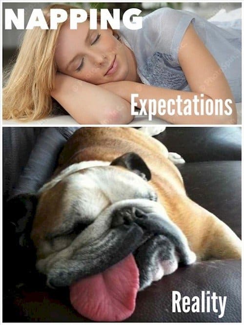 napping expectations reality