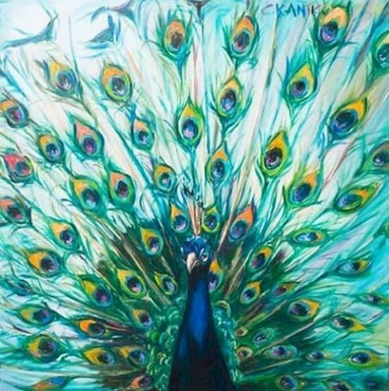 peacock