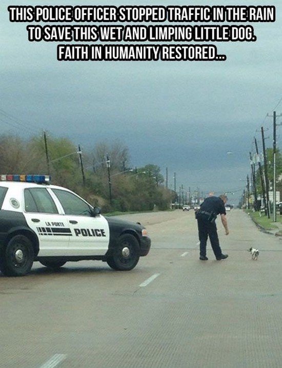 police man dog